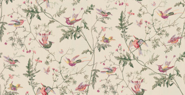 Cole & Son - Archive Anthology - Hummingbirds 100/14071