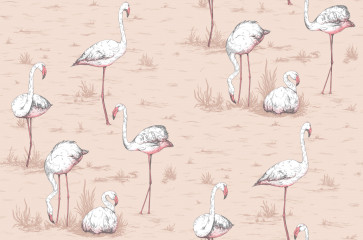 Cole & Son - Icons - Flamingos 112/11039