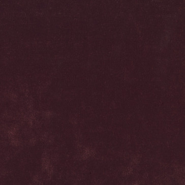 Dominique Kieffer - Velours Décontracté - Aubergine 17209-004