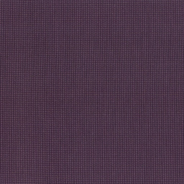 Dominique Kieffer - Grillage - Amethyst 17226-019