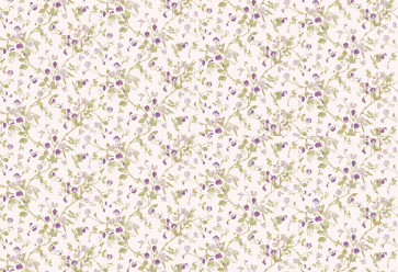 Cole & Son - Collection of Flowers - Sweet Pea 81/11047