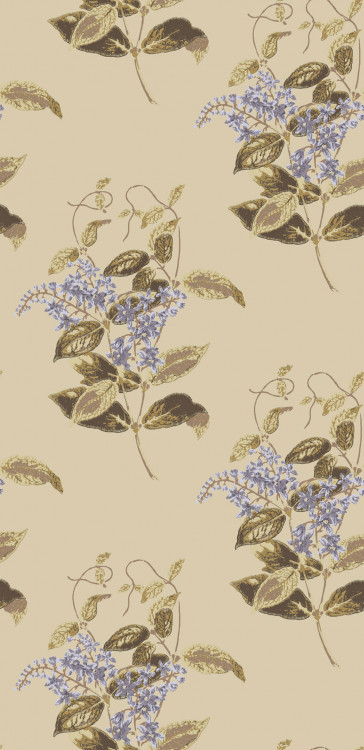 Cole & Son - Collection of Flowers - Madras Violet 81/6026