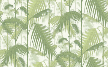 Cole & Son - Contemporary Restyled - Palm Jungle 95/1001