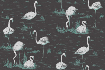 Cole & Son - Contemporary Restyled - Flamingos 95/8048