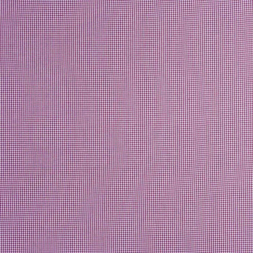 Camengo - Circus - 31800225 Violet