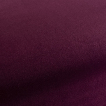 Chivasso - Trophy Velvet - CA1578/086
