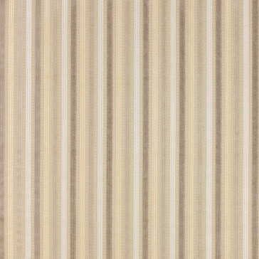 Colefax and Fowler - Hardy Stripe - Neutral - F3917/03