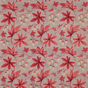 Colefax and Fowler - Lindon - Pink/Grey - F4332/04