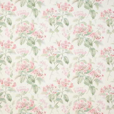 Colefax and Fowler - Eloise - Pink/Green - F4602/01