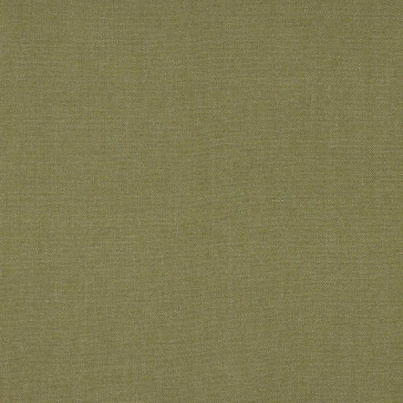 Colefax and Fowler - Tyndall - F4686-13 Sage