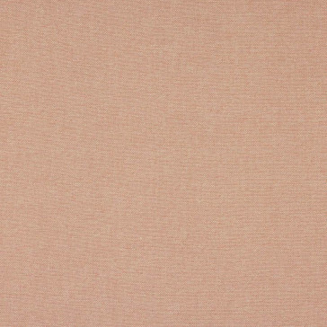 Colefax and Fowler - Tyndall - F4686-20 Pink