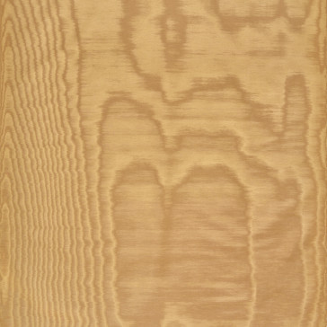 Dedar - Amoir Fou - D20806-020 Toffee