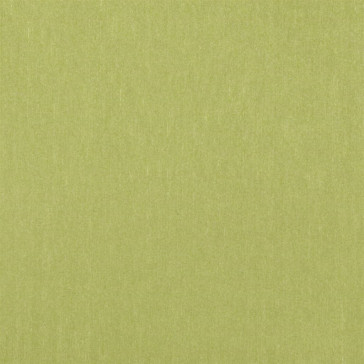 Designers Guild - Brenan - Leaf - F1632-21