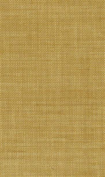 Osborne & Little - Papilio Plain 2 F5760-09