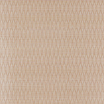 Jane Churchill - Rousseau - Atmosphere VI Wallpapers - Kari Wallpaper - J181W-01 Copper
