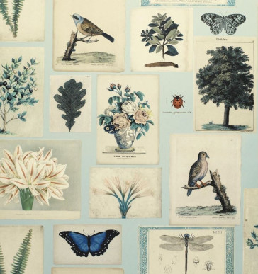  John Derian - Flora and Fauna - PJD6001/02 Cloud Blue
