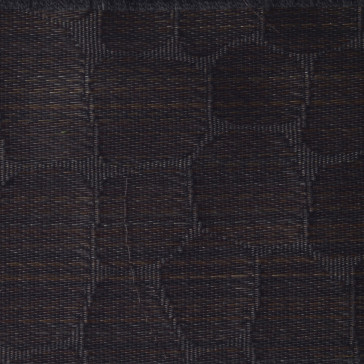 Le Crin - Everglades C0419-005