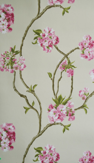 Nina Campbell - Sylvana - Orchard Blossom NCW4027-01