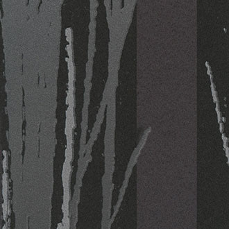 Élitis - Série limitée - Dream forest - TP 164 05 Silver wood fiction