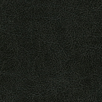 Élitis - Cuirs leathers - Conquistador - VP 690 09 Une densité d'ébène