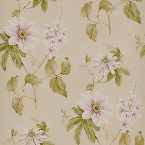 Colefax and Fowler - Baptista - Passiflora 7155/01 Pink/Green