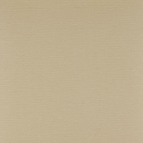 Colefax and Fowler - Ashbury - Grass Paper 7961/07 Sand