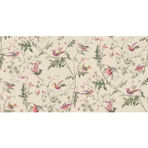 Cole & Son - Archive Anthology - Hummingbirds 100/14071