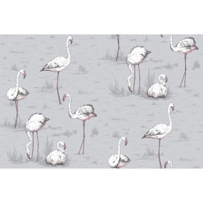 Cole & Son - Icons - Flamingos 112/11040