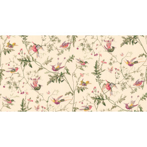 Cole & Son - Collection of Flowers - Humming Birds 62/1001
