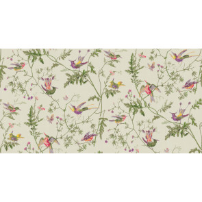 Cole & Son - Collection of Flowers - Humming Birds 62/1002