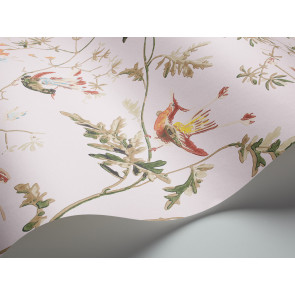 Cole & Son - Collection of Flowers - Humming Birds 62/1003