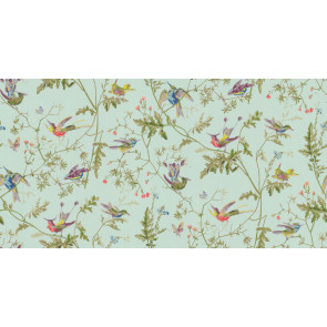 Cole & Son - Collection of Flowers - Humming Birds 62/1004