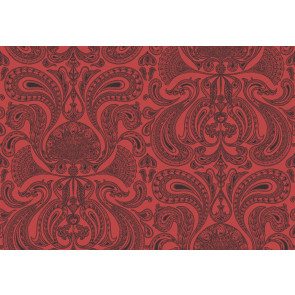 Cole & Son - New Contemporary I - Malabar 66/1008