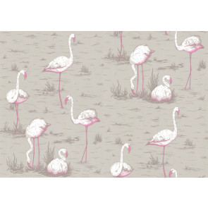 Cole & Son - New Contemporary I - Flamingos 66/6042