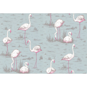 Cole & Son - New Contemporary I - Flamingos 66/6044
