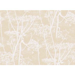 Cole & Son - New Contemporary I - Cow Parsley 66/7049