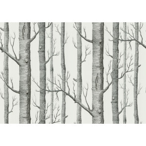Cole & Son - New Contemporary II - Woods 69/12147
