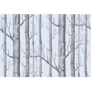 Cole & Son - New Contemporary II - Woods 69/12150
