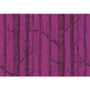 Cole & Son - New Contemporary II - Woods 69/12152