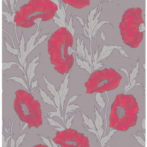 Cole & Son - Collection of Flowers - Poppy 81/1001