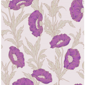 Cole & Son - Collection of Flowers - Poppy 81/1002