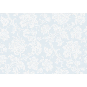 Cole & Son - Collection of Flowers - Eastern Rose 81/10041