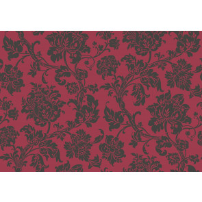 Cole & Son - Collection of Flowers - Eastern Rose 81/10044
