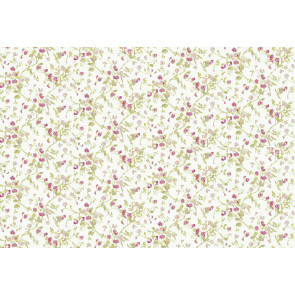 Cole & Son - Collection of Flowers - Sweet Pea 81/11048