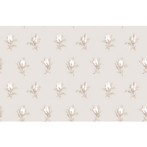 Cole & Son - Collection of Flowers - Rose Buds 81/4015