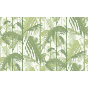 Cole & Son - Contemporary Restyled - Palm Jungle 95/1001