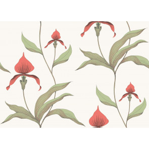 Cole & Son - Contemporary Restyled - Orchid 95/10054