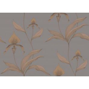 Cole & Son - Contemporary Restyled - Orchid 95/10056