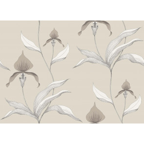 Cole & Son - Contemporary Restyled - Orchid 95/10058