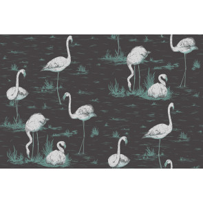 Cole & Son - Contemporary Restyled - Flamingos 95/8048